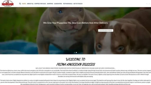 Screenshot of
