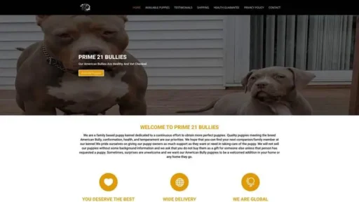 Screenshot of