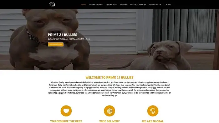 Screenshot of