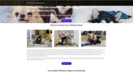 Screenshot of
