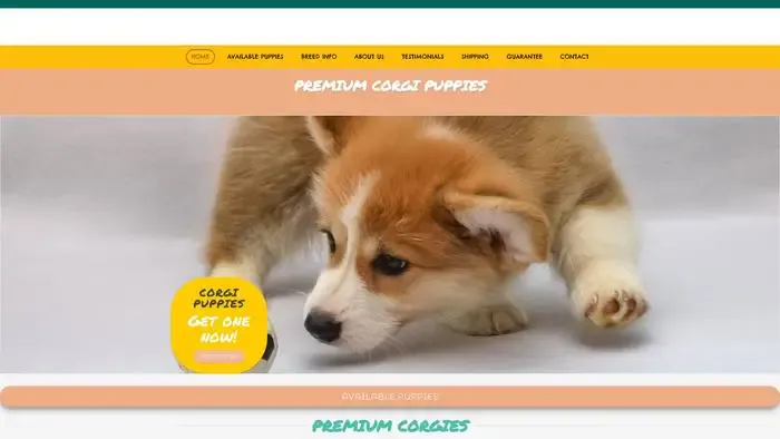 Screenshot of