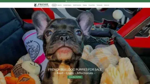 Screenshot of