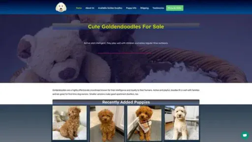 Screenshot of