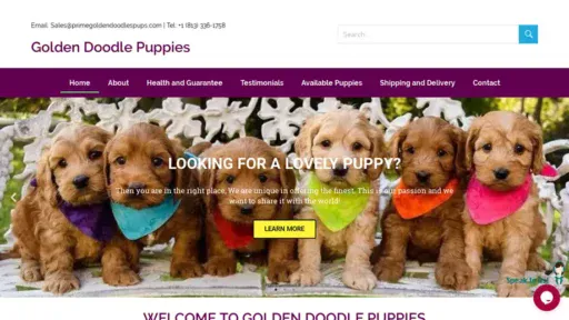 Screenshot of|