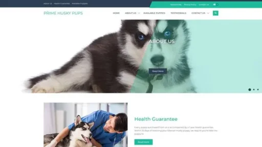 Screenshot of
