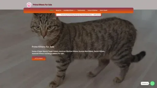 Screenshot of