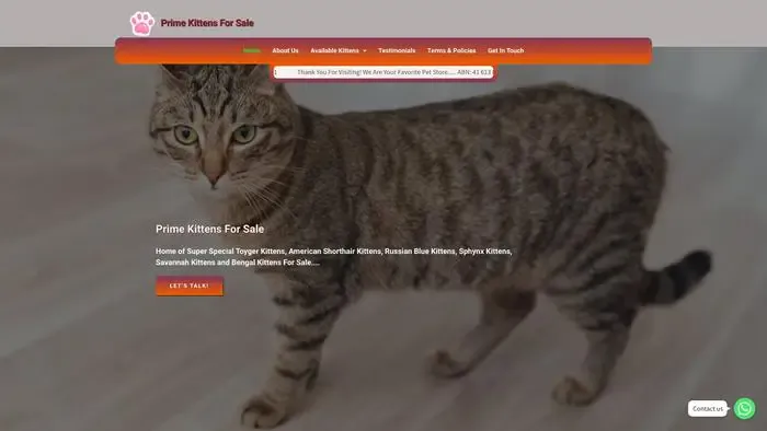 Screenshot of