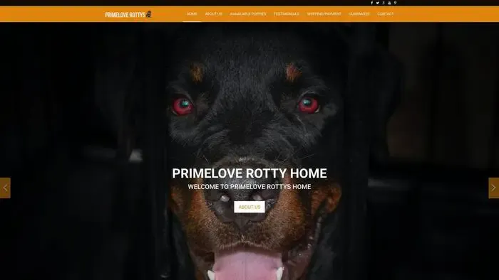 Screenshot of