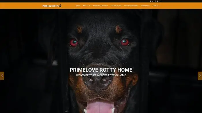Screenshot of
