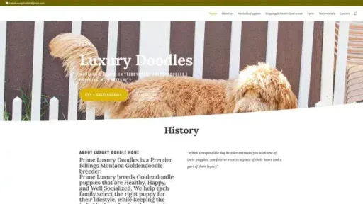 Screenshot of