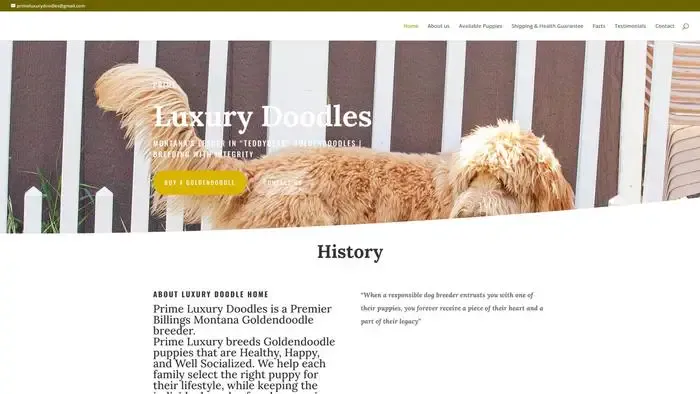 Screenshot of