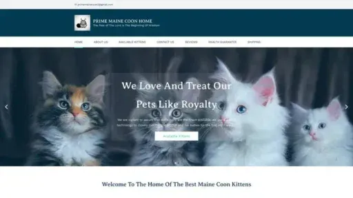Screenshot of|