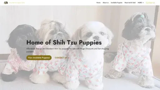 Screenshot of