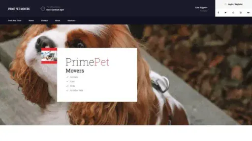 Screenshot of