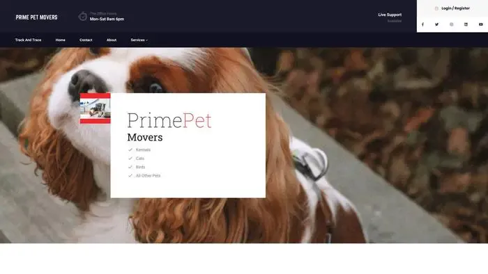 Screenshot of
