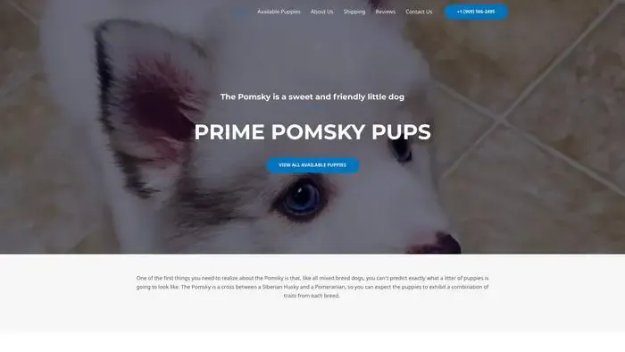 Screenshot of