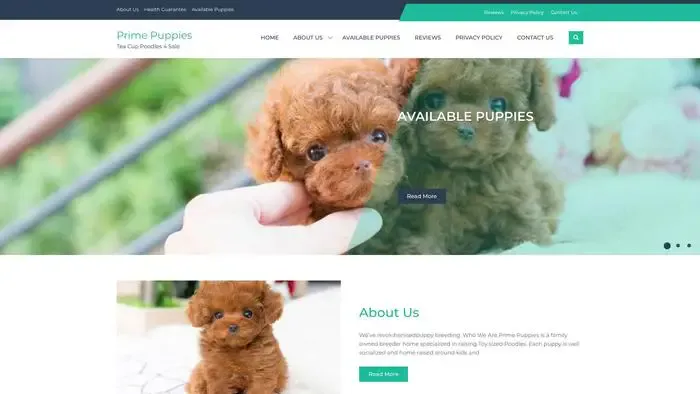 Screenshot of