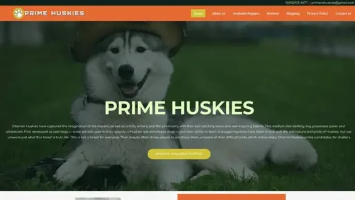 Screenshot of