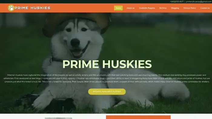 Screenshot of