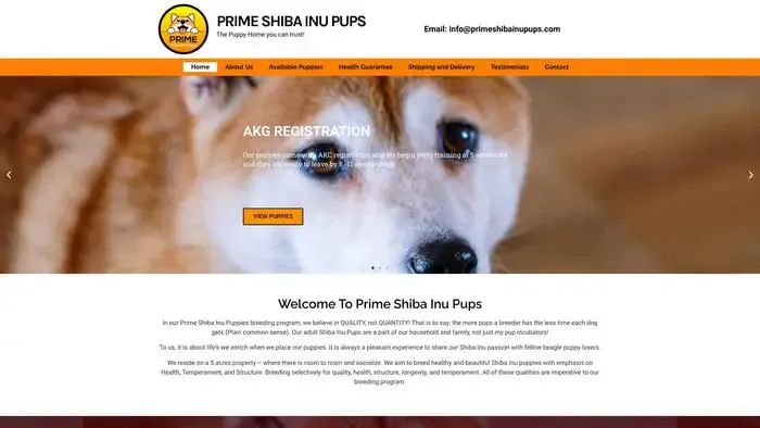 Screenshot of