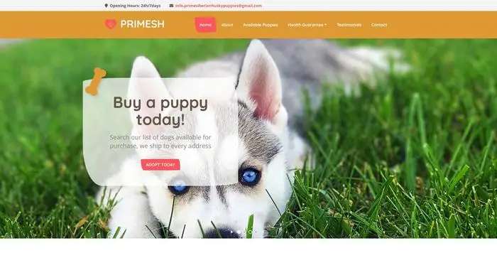 Screenshot of