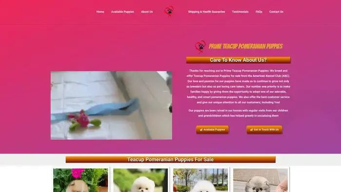Screenshot of