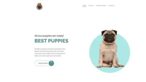 Screenshot of