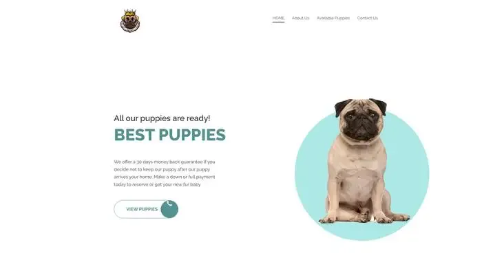 Screenshot of