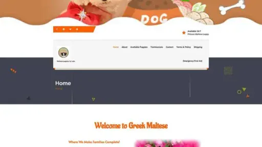 Screenshot of
