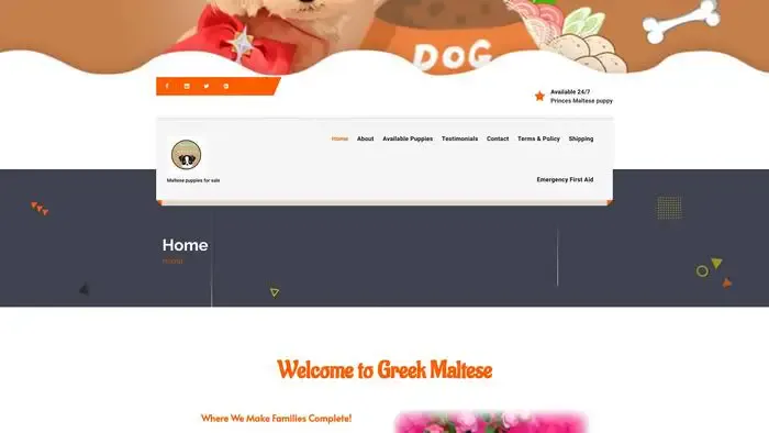 Screenshot of
