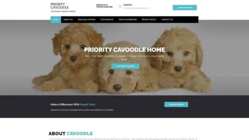 Screenshot of