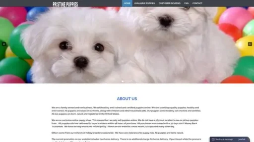 Screenshot of