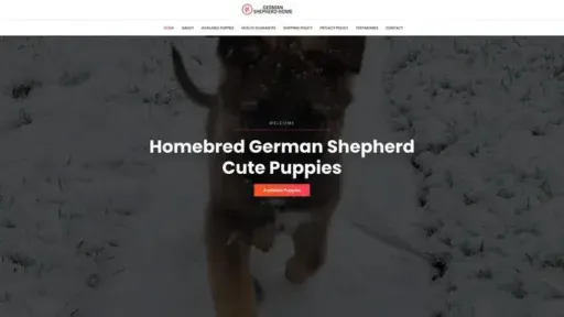 Screenshot of