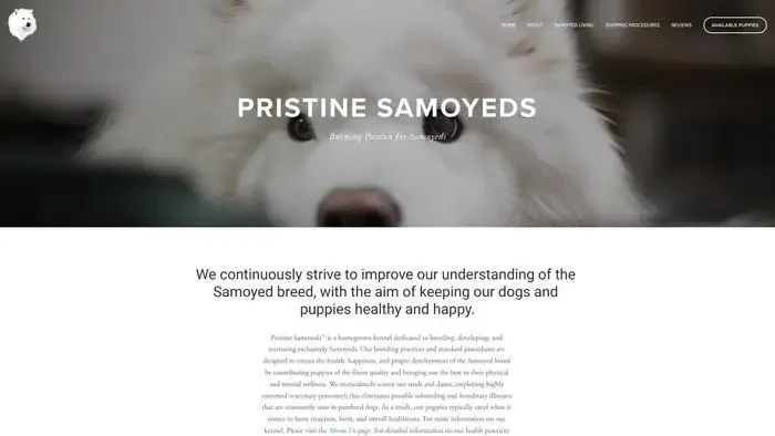 Screenshot of