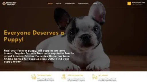 Screenshot of