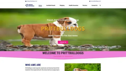 Screenshot of