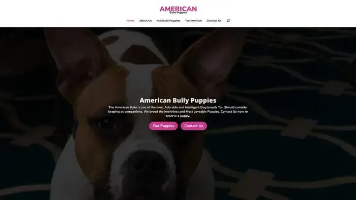 Screenshot of