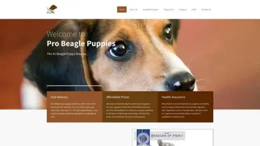 Screenshot of
