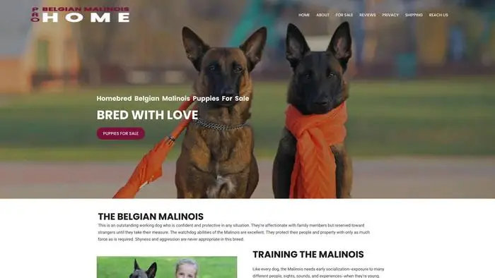 Screenshot of