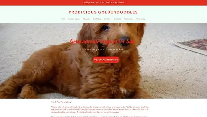 Screenshot of