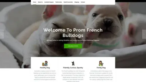 Screenshot of