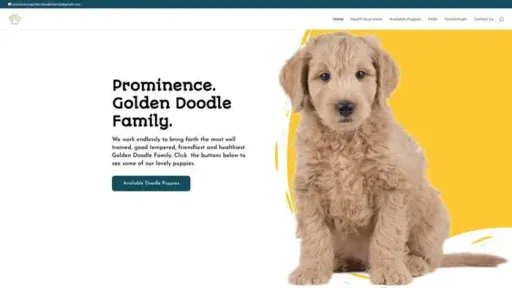 Screenshot of