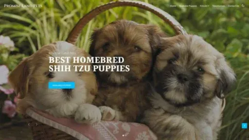 Screenshot of||