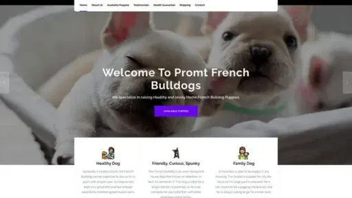 Screenshot of