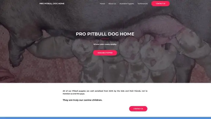 Screenshot of