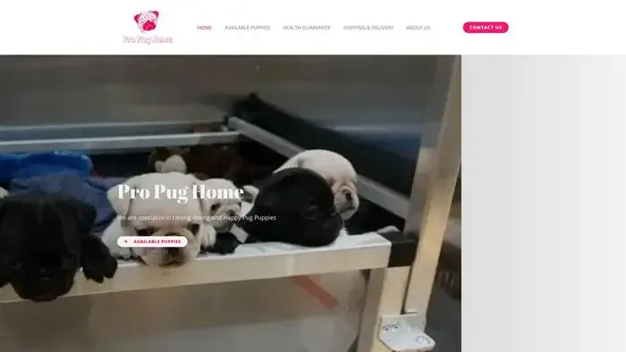 Screenshot of
