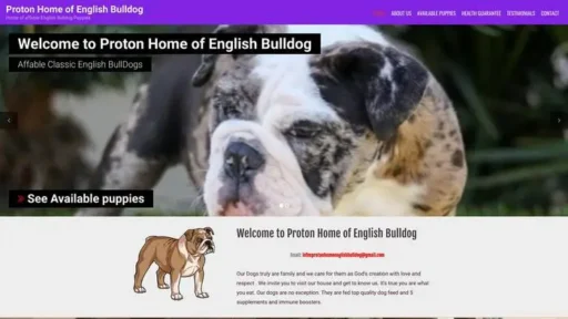 Screenshot of