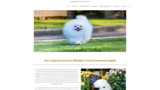 Screenshot of