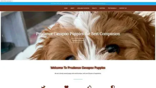 Screenshot of