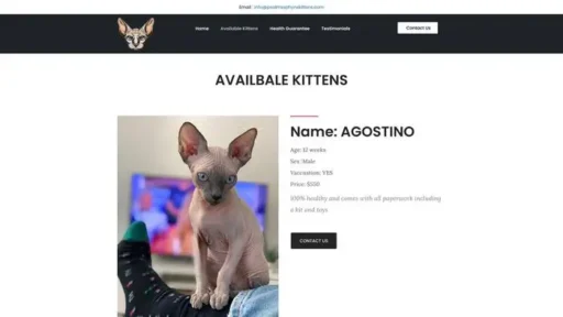 Screenshot of